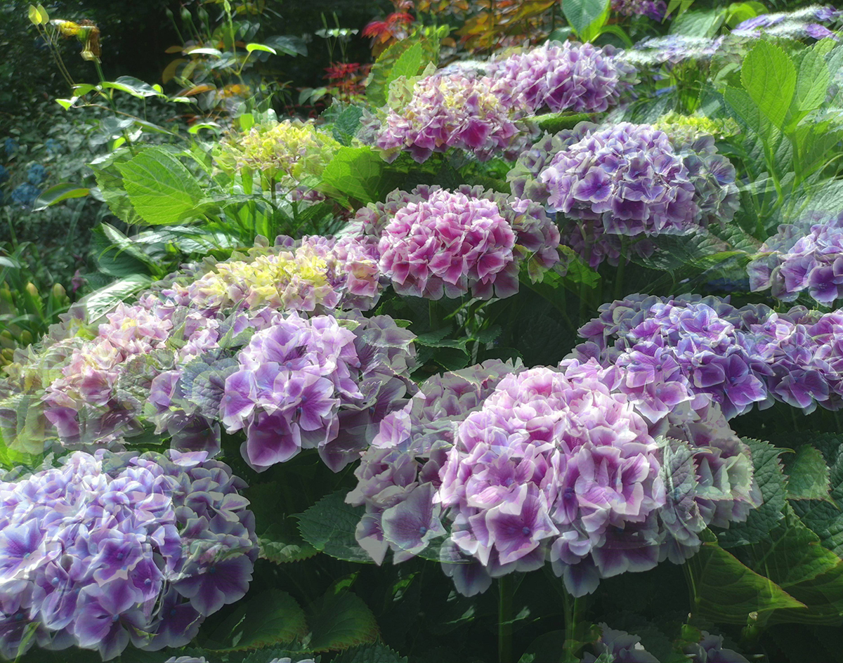 frontline-vrcamera_21_21-b