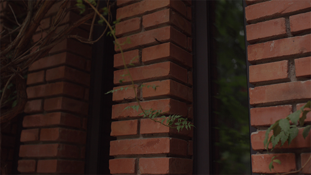 DZOFILM、フルフレームシネレンズ「Vespid 21mm」、「Vespid 40mm」を発売。Vespidファミリーが完成