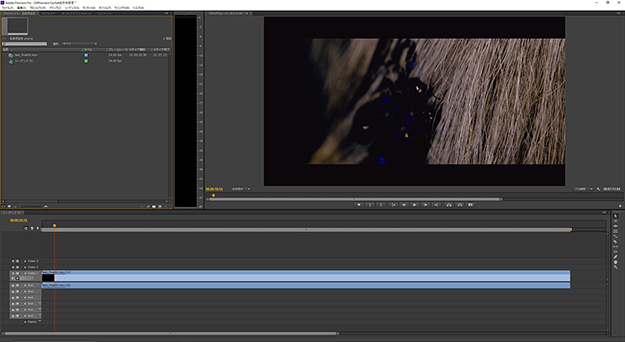 tsuchimochi101_69_02