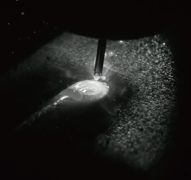 220804_FASTCAMNovaR_06