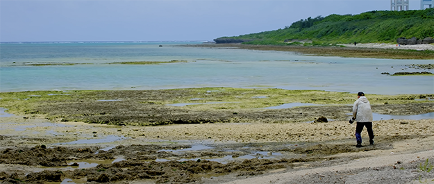 富士フイルムVOL06説明写真