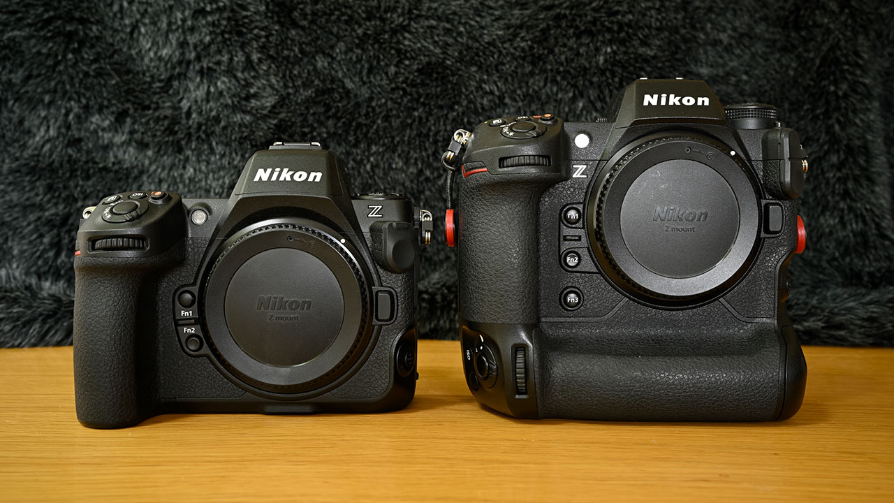 Nikon Z8 report explanatory photo